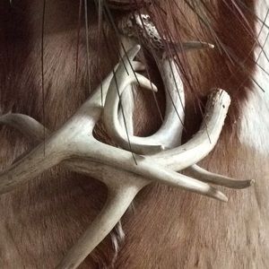 Meet your Posher, Danny